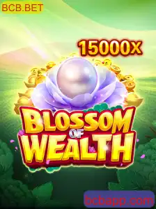 Explorando o Universo de BlossomofWealth: A Nova Sensação do BCB.BET